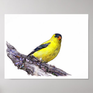 Goldfinch Poster