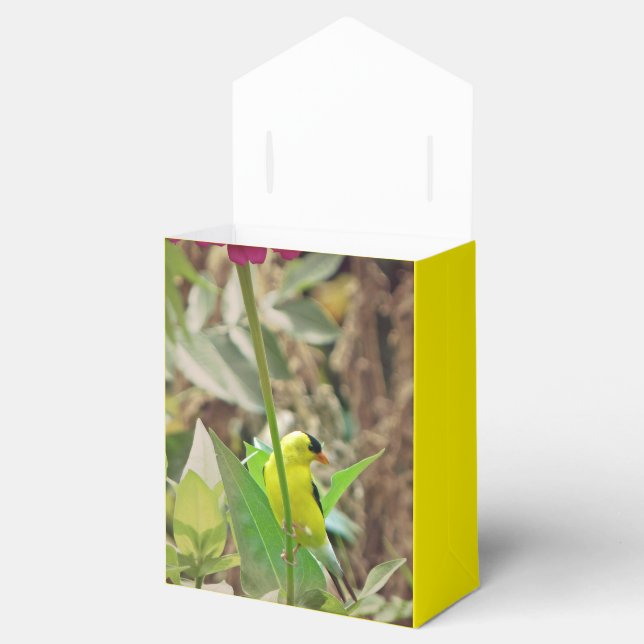 Goldfinch Presentaskar (Öppnad)