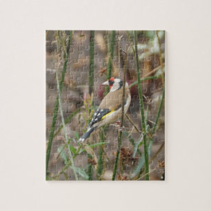 Goldfinch Puzzle Pussel