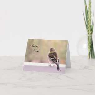 Goldfinch - Tankar på ditt kort