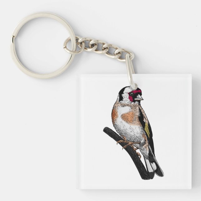 Goldfinch teckning (Framsidan)