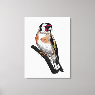 Goldfinch teckning canvastryck