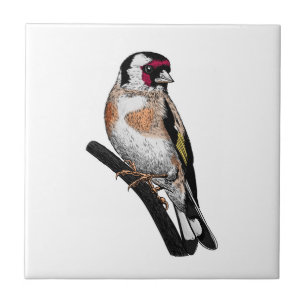 Goldfinch teckning kakelplatta