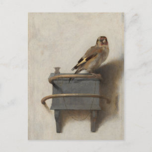 Goldfinch Vykort