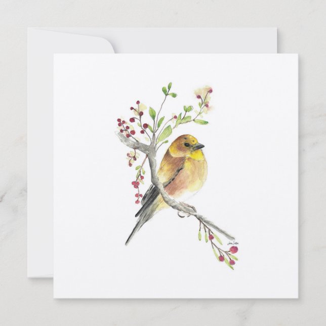 Goldfinch Watercolor Bird (Framsida)