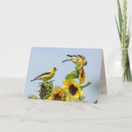 Goldfinches and Sunwers Greeting Card Kort