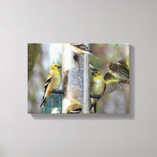 Goldfinches på mataren canvastryck