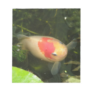 Goldfish-Anteckningsblock Anteckningsblock
