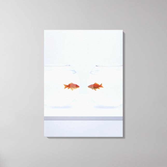 Goldfish i separata fiskskålar tittar ansikte att  canvastryck (Framsida)