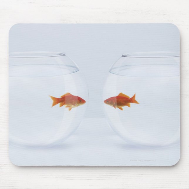 Goldfish i separata fiskskålar tittar ansikte att  musmatta (Framsidan)