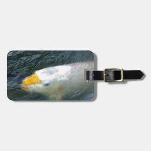Goldfish i Sjö Bagagebricka