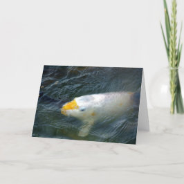Goldfish i Sjö Kort