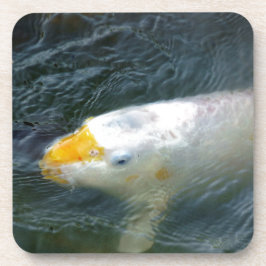 Goldfish i Sjö Underlägg