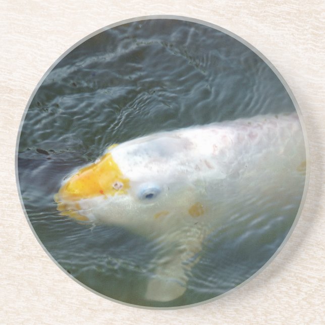 Goldfish i Sjö Underlägg (Framsidan)