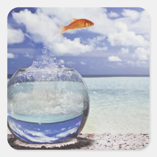 Goldfish Leap Fyrkantigt Klistermärke (Framsida)