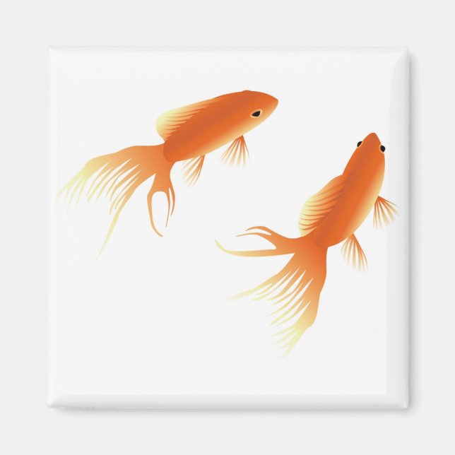 GOLDFISH MAGNET (Framsidan)