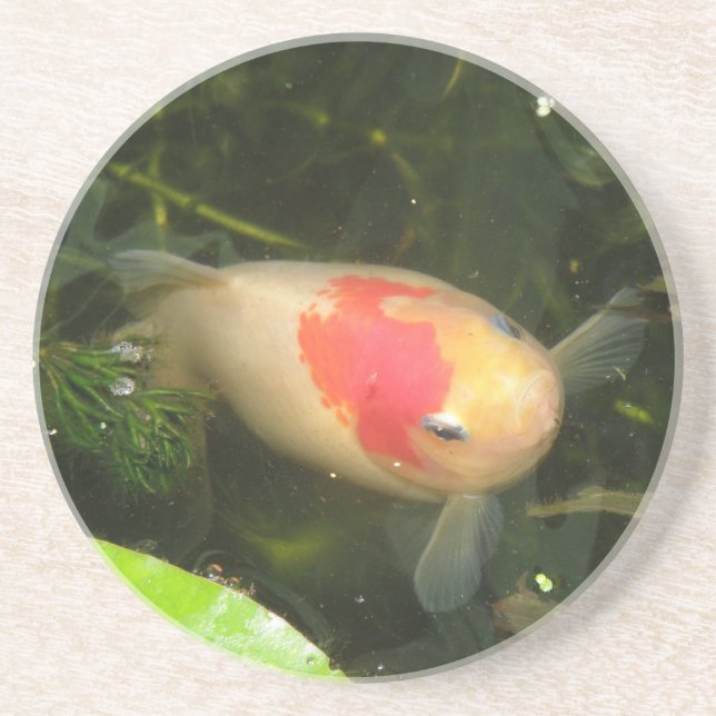 Goldfish Underlägg (Framsidan)