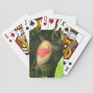 Goldfish-uppspelningskort Spel Kort