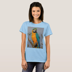 Goldie Blue Tee