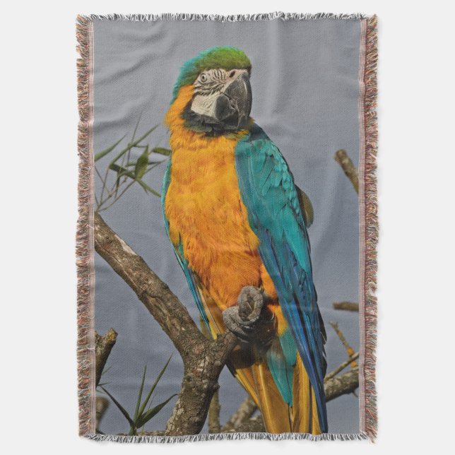 Goldie Blue Throw Blanket Mysfilt (Framsidan Vertikal)