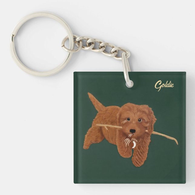 Goldie Golden Doodle (Framsidan)