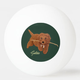 Goldie Golden Doodle Pingisboll