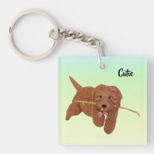 Goldie Golden Doodle Torg