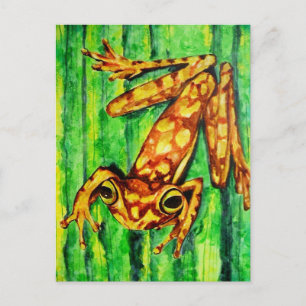 Goldie Träd Frog Postcards Vykort