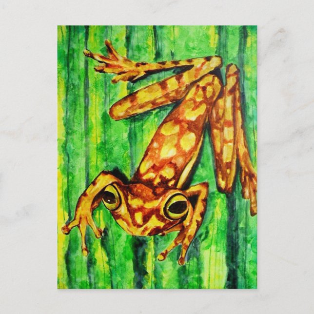 Goldie Träd Frog Postcards Vykort (Framsida)