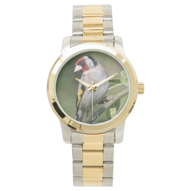 Goldie Watch Armbandsur (Framsida)