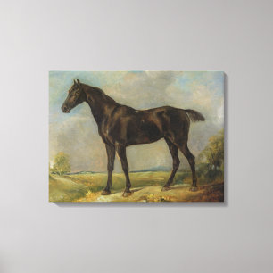 Golding Constable's Black Riding-Horse, c.1805-10 Canvastryck