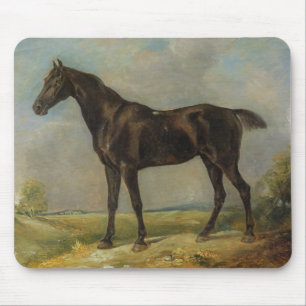 Golding konstapel svart Ridning-Häst, c.1805-10 Musmatta