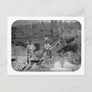 Goldminers Guld Rush Miners ~ California 1850 Vykort