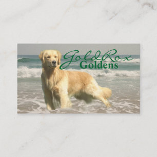 GoldRox Goldens visitkort
