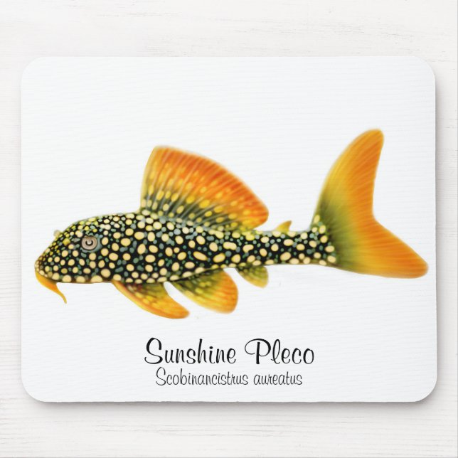 Goldy solsken Pleco Mousepad Musmatta (Framsidan)