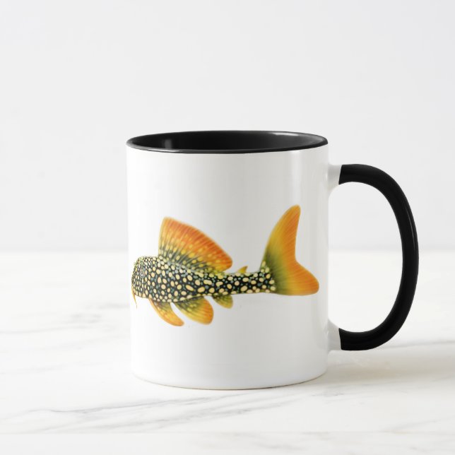 Goldy solskenPleco mugg (Höger)