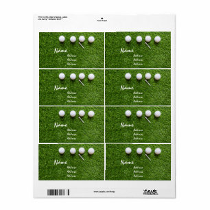 Golf bollar och T på grönt gräs Fraktsedel