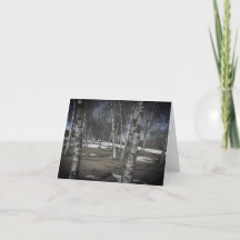 Golf Course Birch Träd Note Card