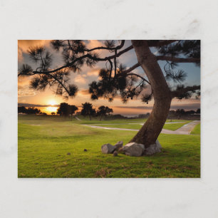 Golf Course Sunset Vykort