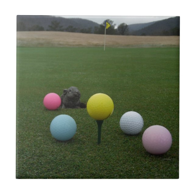 Golfbana i påsk kakelplatta (Framsidan)