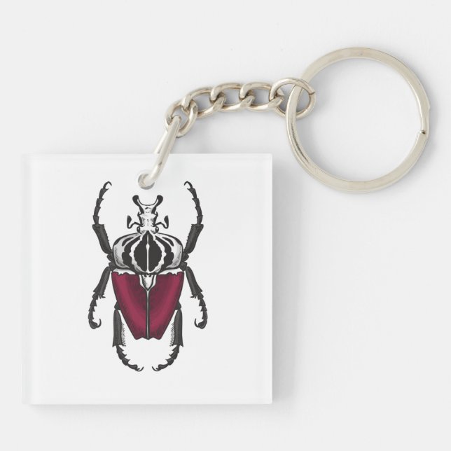 Goliat beetle (Baksidan)