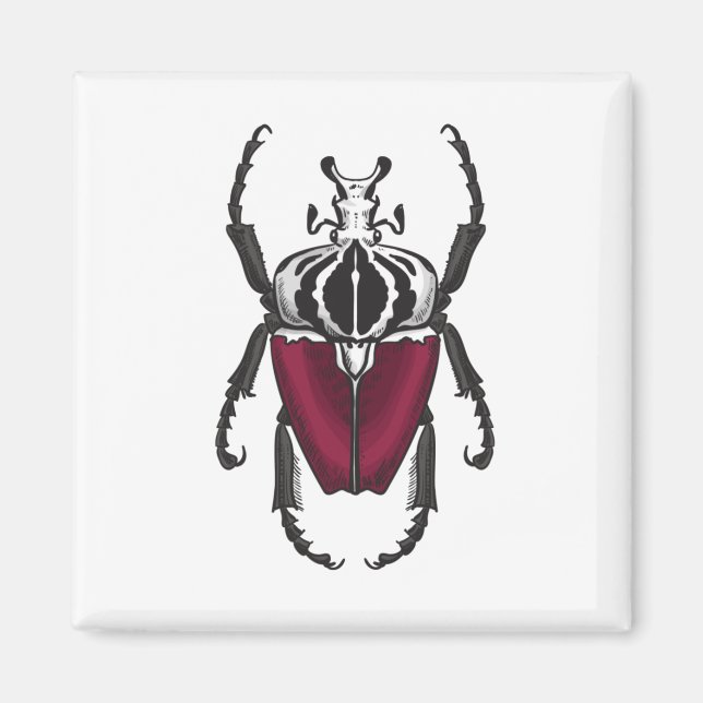 Goliat beetle magnet (Framsidan)