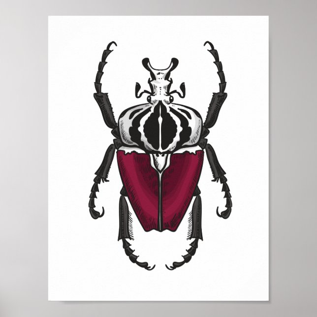 Goliat beetle poster (Framsidan)