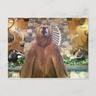 Goliat Space Farms Zoo World's Largest Bear Vykort