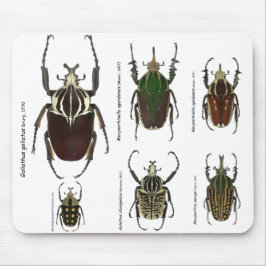 Goliath mousepad musmatta