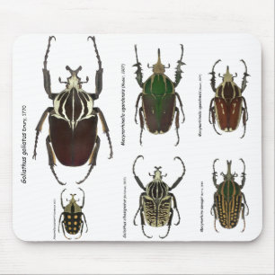 Goliath mousepad musmatta