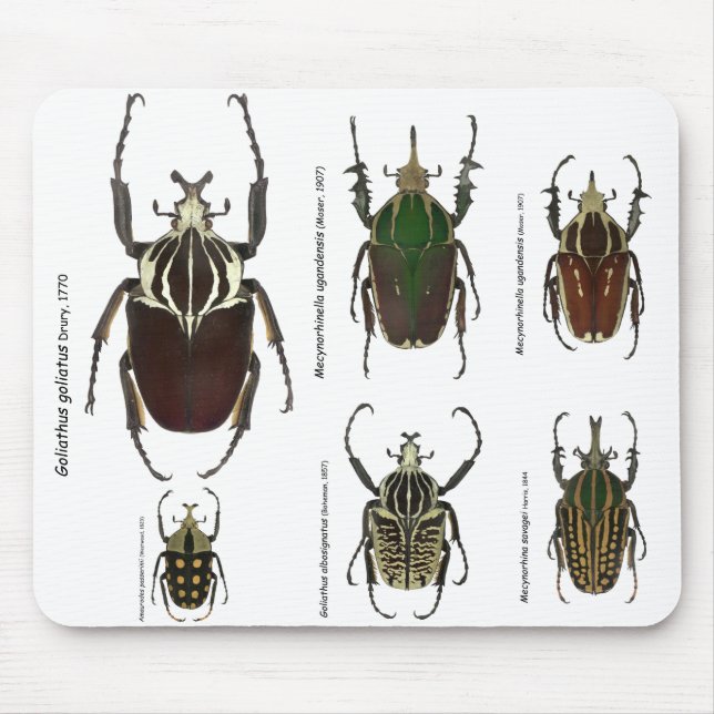 Goliath mousepad musmatta (Framsidan)