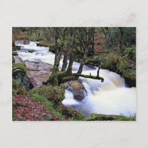 Golitha Falls, Cornwall, England vid Cornish Ri Vykort