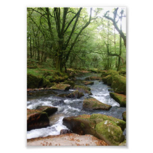 Golitha Falls River Fowey Cornwall England Fototryck