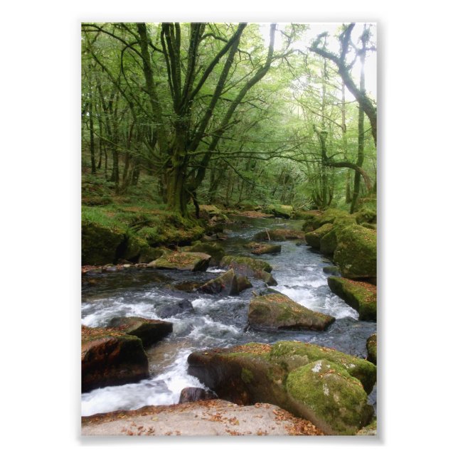 Golitha Falls River Fowey Cornwall England Fototryck (Framsidan)